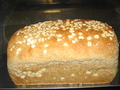 Multi Grain Bread