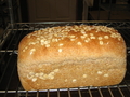 Oatmeal Bread